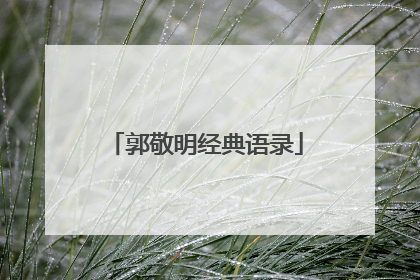 郭敬明经典语录
