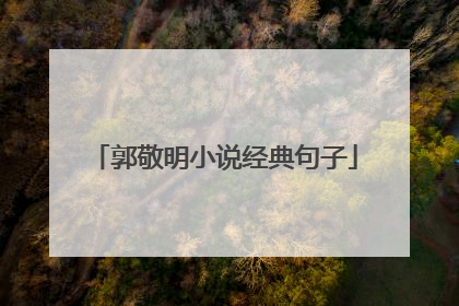 郭敬明小说经典句子