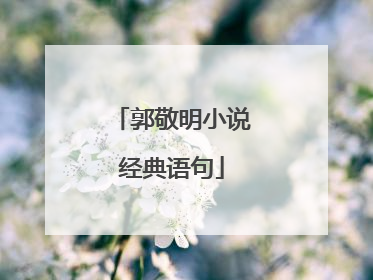 郭敬明小说经典语句