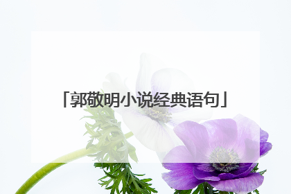 郭敬明小说经典语句
