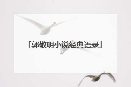 郭敬明小说经典语录