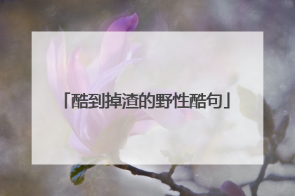 酷到掉渣的野性酷句