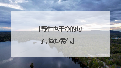 野性也干净的句子,简短霸气