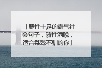 野性十足的霸气社会句子,随性洒脱,适合桀骜不驯的你