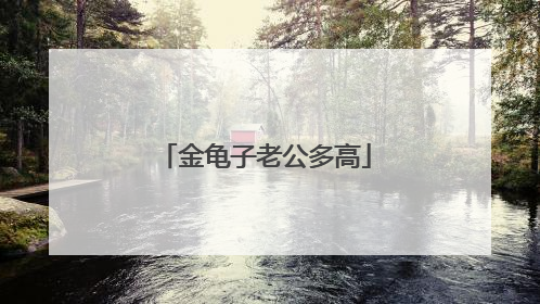 金龟子老公多高