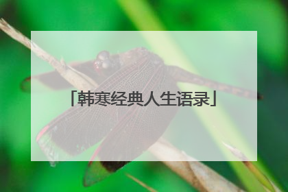 韩寒经典人生语录