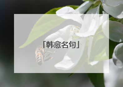 韩愈名句
