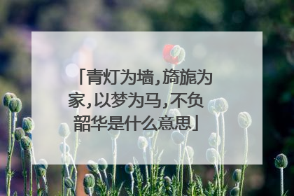 青灯为墙,旖旎为家,以梦为马,不负韶华是什么意思
