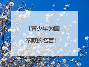 青少年为国奉献的名言
