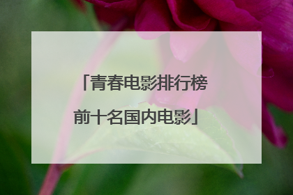 青春电影排行榜前十名国内电影