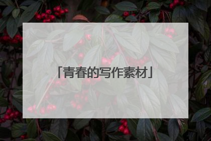 青春的写作素材