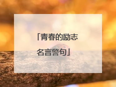青春的励志名言警句