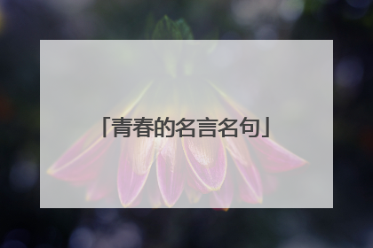 青春的名言名句