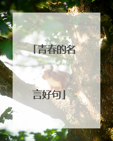 青春的名言好句