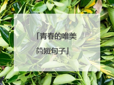 青春的唯美简短句子