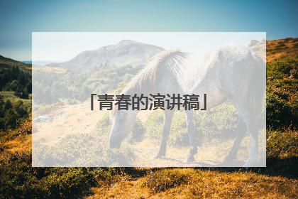 青春的演讲稿