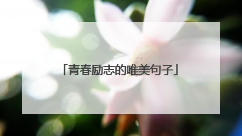 青春励志的唯美句子