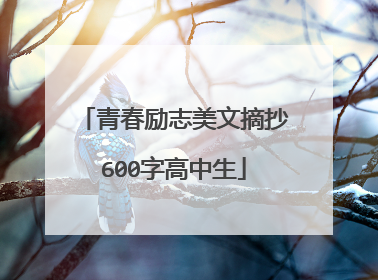 青春励志美文摘抄600字高中生