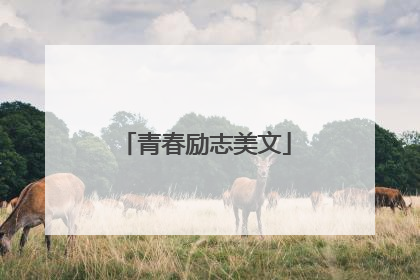 青春励志美文