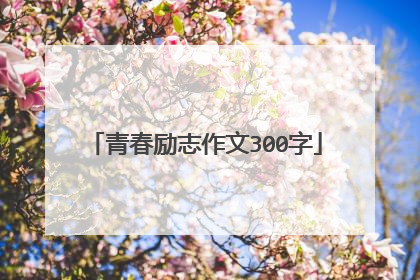 青春励志作文300字