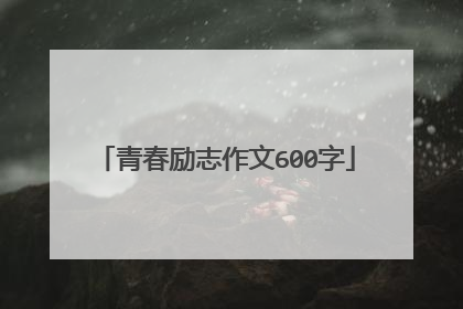 青春励志作文600字