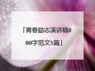 青春励志演讲稿800字范文5篇