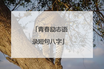 青春励志语录短句八字