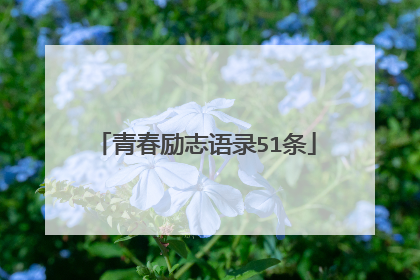 青春励志语录51条
