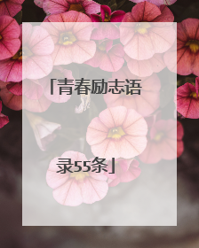 青春励志语录55条