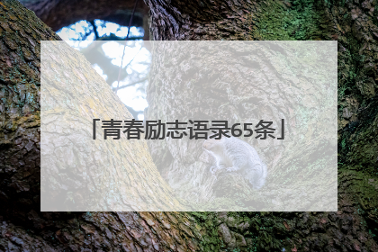 青春励志语录65条