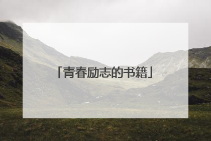 青春励志的书籍