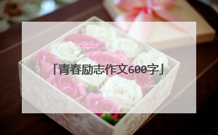 青春励志作文600字
