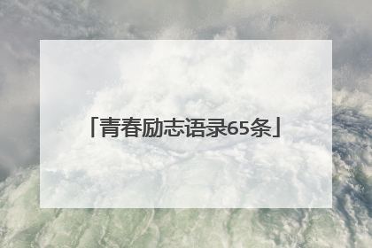 青春励志语录65条