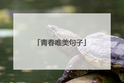 青春唯美句子
