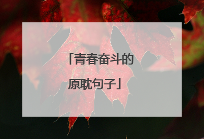 青春奋斗的原耽句子