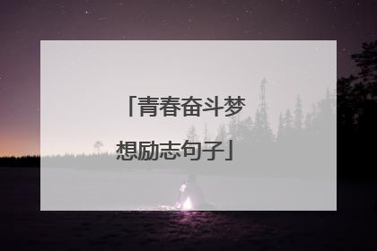 青春奋斗梦想励志句子