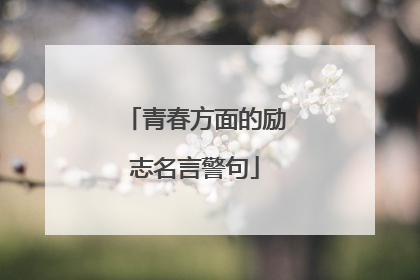 青春方面的励志名言警句