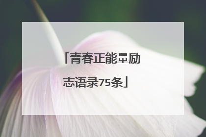 青春正能量励志语录75条