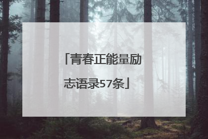 青春正能量励志语录57条