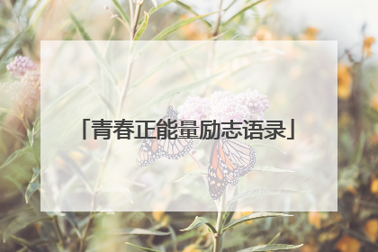 青春正能量励志语录