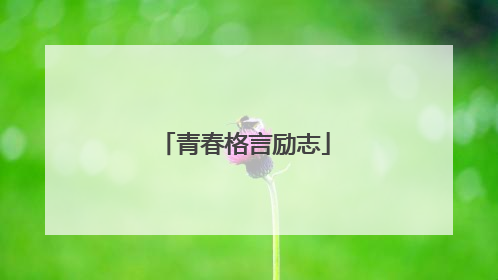 青春格言励志