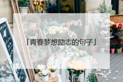 青春梦想励志的句子
