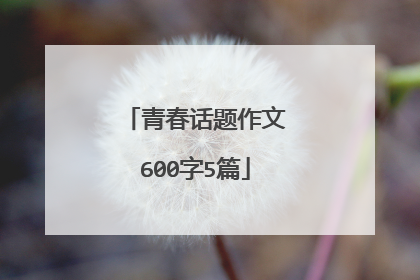 青春话题作文600字5篇