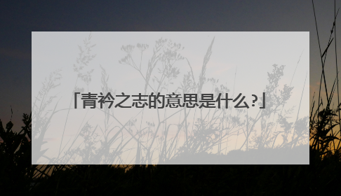 青衿之志的意思是什么?