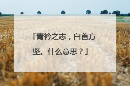 青衿之志,白首方坚。什么意思?