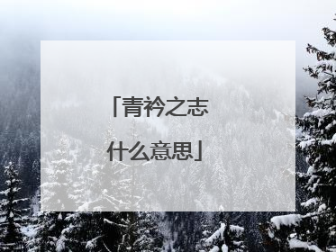 青衿之志 什么意思