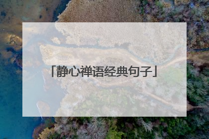 静心禅语经典句子