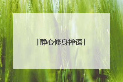 静心修身禅语