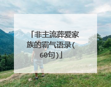 非主流葬爱家族的霸气语录(60句)