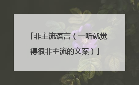 非主流语言(一听就觉得很非主流的文案)